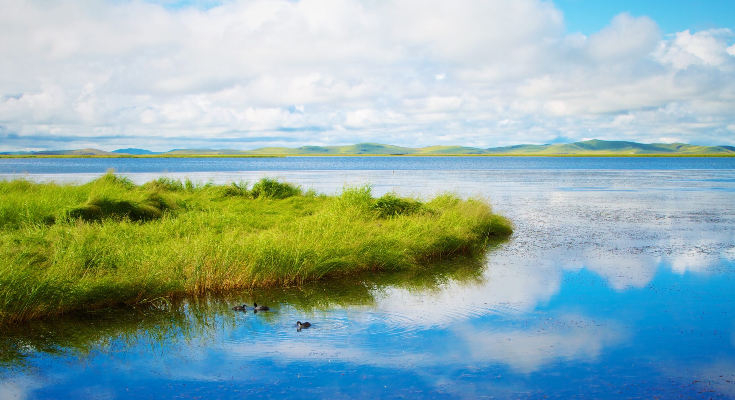 chang-qing-2YQoKbyGvDc-unsplash