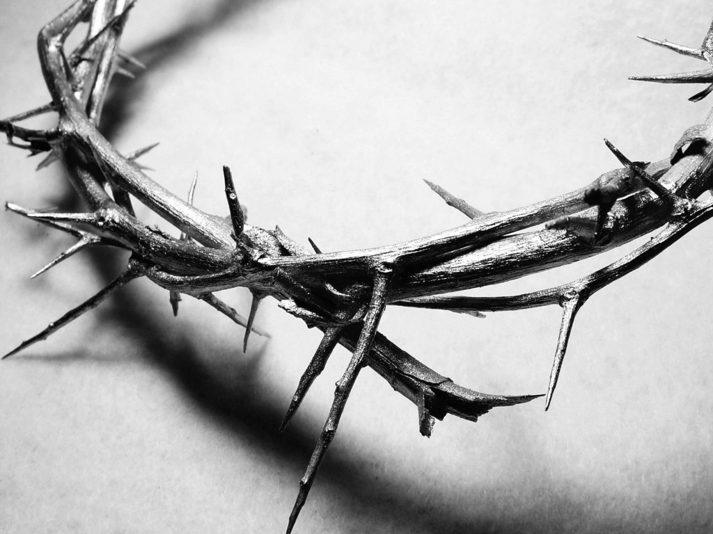 crown-of-thorns1